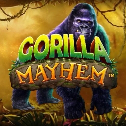 black gorilla in the jungle 