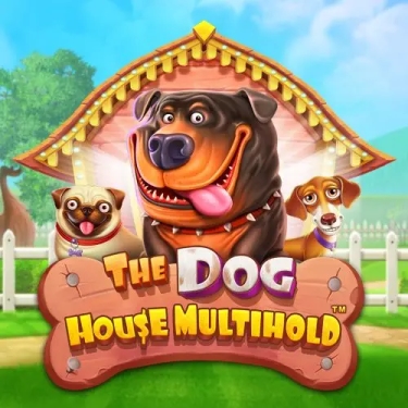 happy dogs in the yard